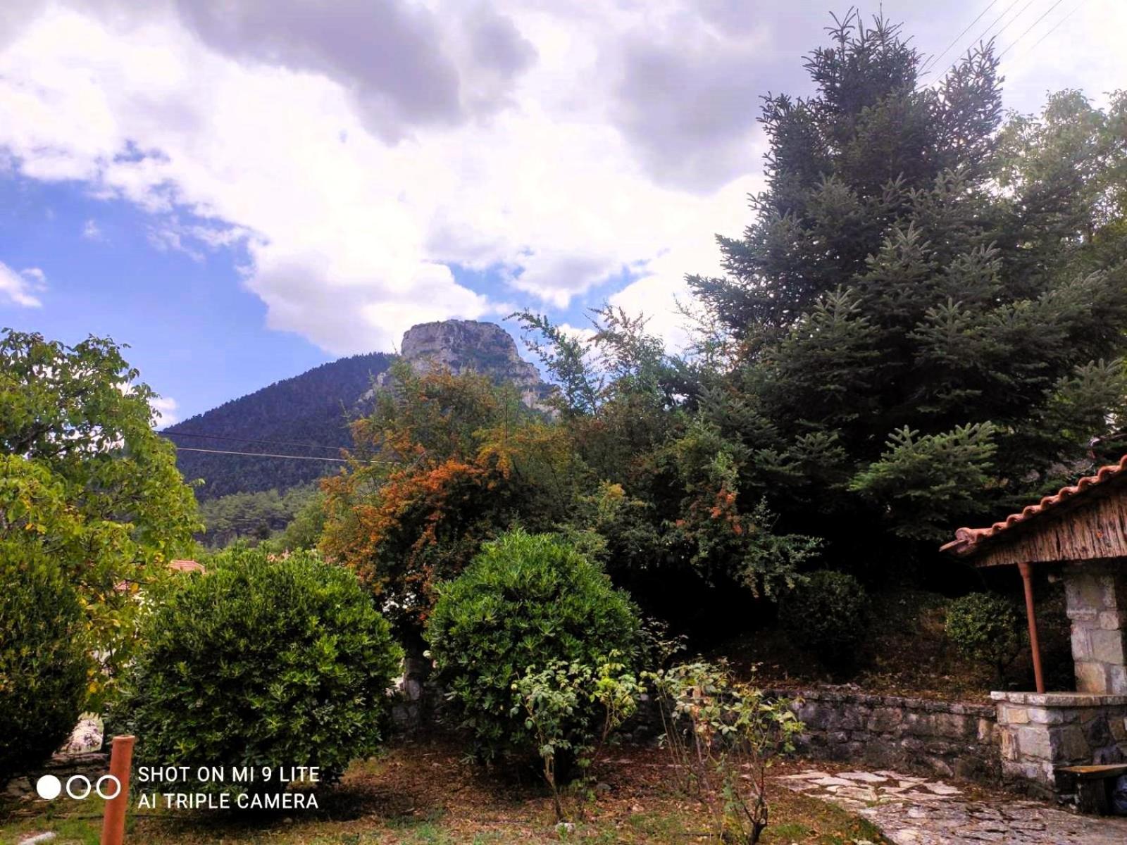 Appartamento Το Αλώνι Vlacherna Esterno foto